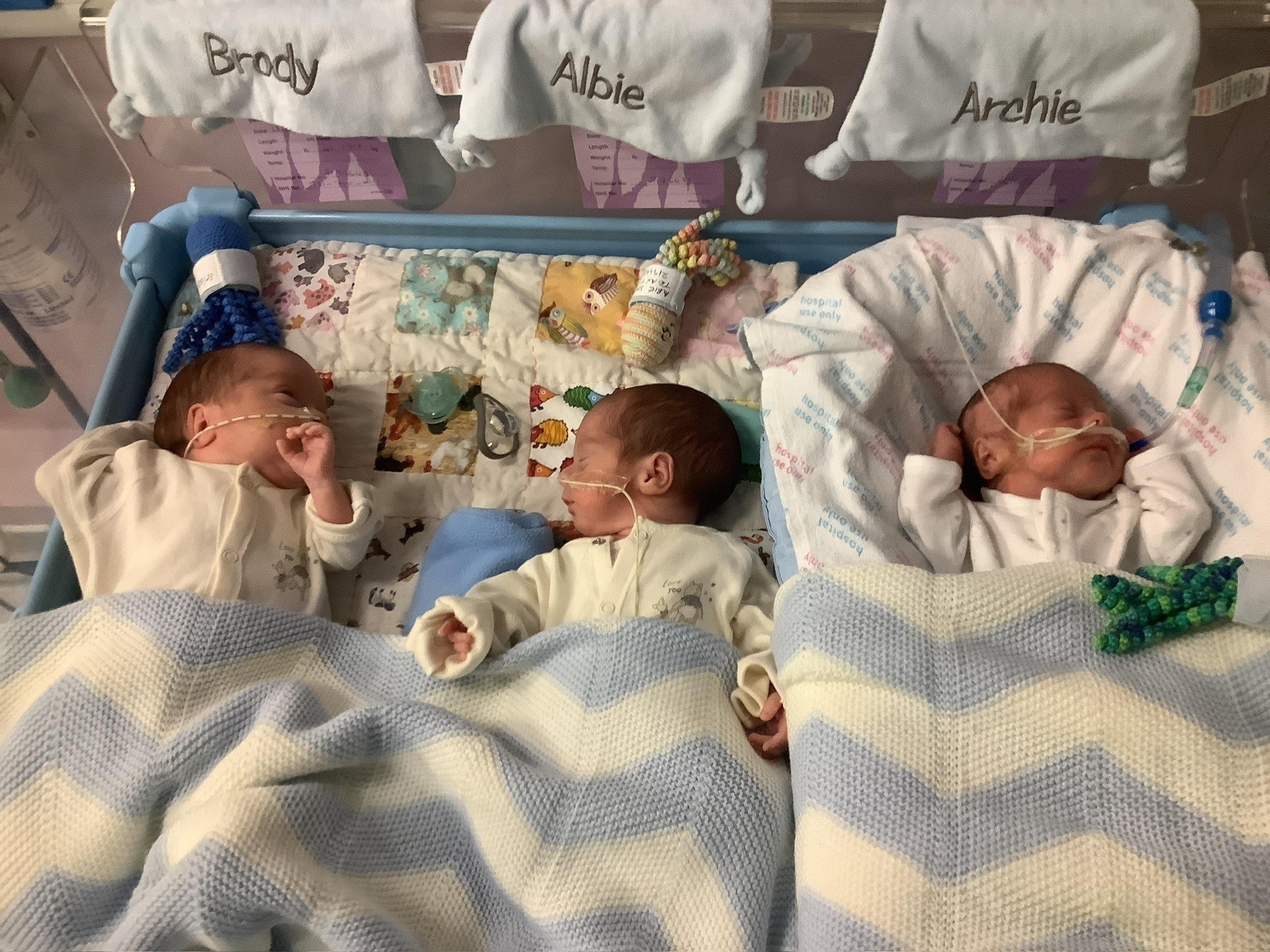 Walk for Wards triplets